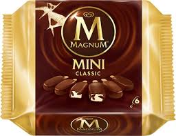 MAGNUM MİNİ X6
