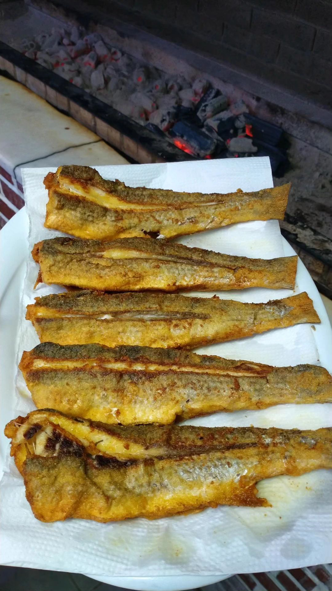 Kefal Tava 