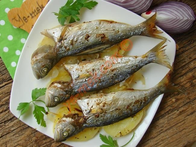 ÇİNEKOP
