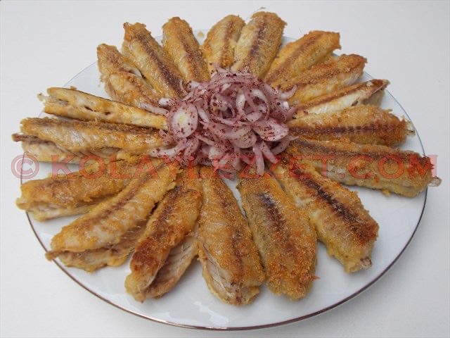 DENİZ TURNA